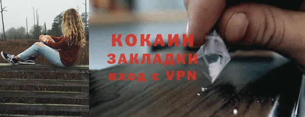 индика Беломорск