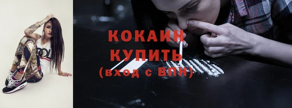 индика Беломорск