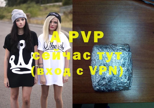 индика Беломорск