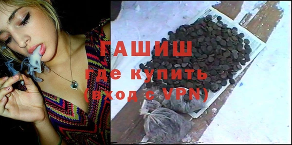 индика Беломорск