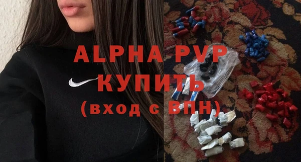 индика Беломорск