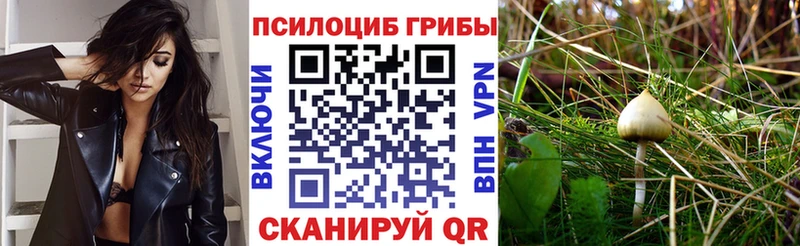 Купить где  Ленинск  Псилоцибиновые грибы мухоморы 